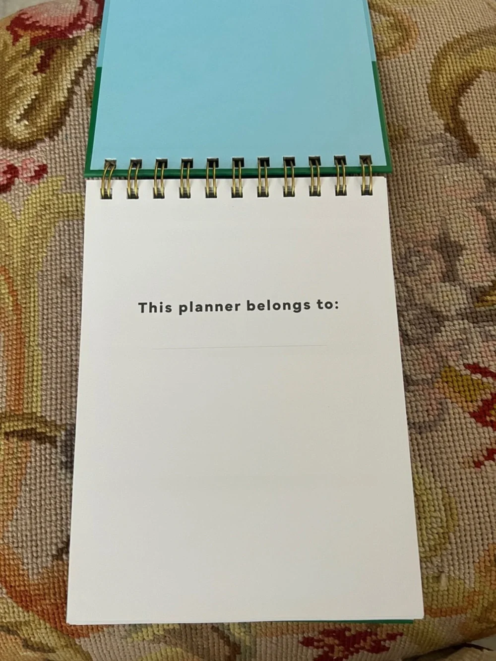 Daily Planner - Green and Light Blue Spiral Notebook